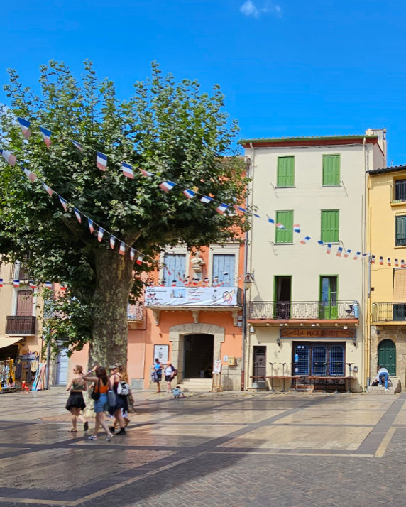 Een plein met huizen in Collioure