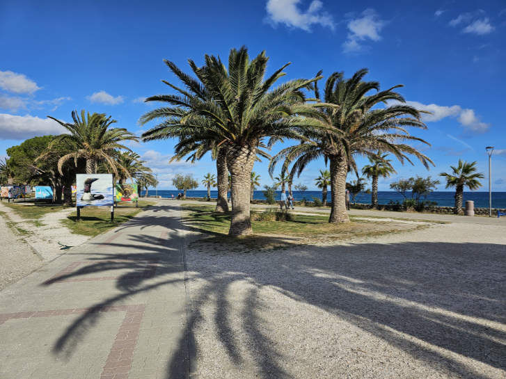 De boulevard met palmbomen van Argelès-sur-Mer